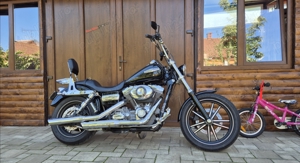 Harley Davidson Softail Heritage RoadKing Dyna - imagine 2