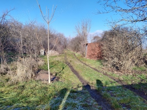 Casa de vanzare in comuna Batar, judetul Bihor. - imagine 3