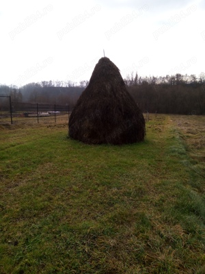 Vând 15 Clăi de fân foarte foarte bun.