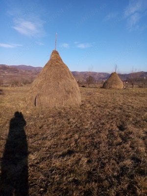 Vând 15 Clăi de fân 