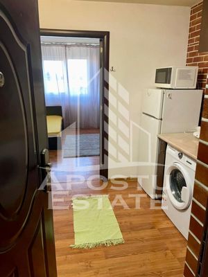 Apartamenta o camera, aer conditionat, Aradului - imagine 4