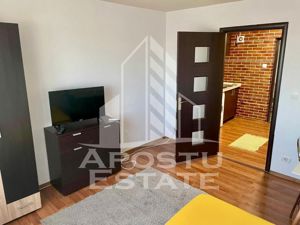 Apartamenta o camera, aer conditionat, Aradului - imagine 6