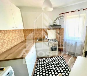 Apartament 2 camere, centrala proprie, Lipovei - imagine 3