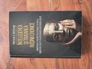 Patricia A DeYoung - Intelegerea si tratarea rusinii cronice