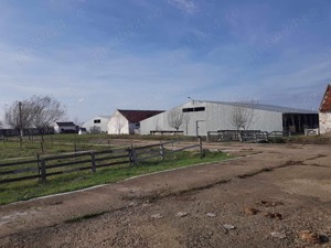 Ferma de vanzare - imagine 2