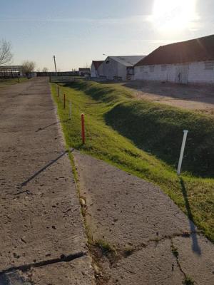 Ferma de vanzare - imagine 3