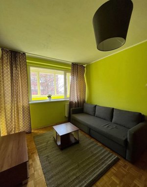 Apartament de 2 camere, 55 mp, semidecomandat, zona Basarabia  - imagine 2