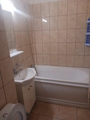 Apartament de 2 camere, 60 mp, decomandat, balcon, AC, zona Brancoveanu-Secuilor - imagine 5