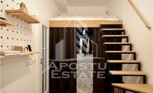 Apartament 2 camere + garsoniera, garaj, renovat complet, Badea Cartan - imagine 4