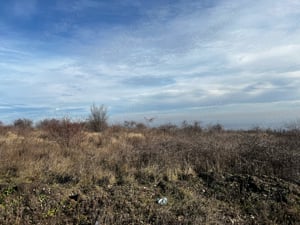 vand teren extravilan zona in Husi