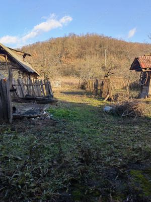 Casa de vânzare Gornea pe clisura Dunării - imagine 3