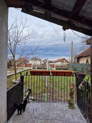 Proprietate de 2210 mp în Sătmărel - imagine 9