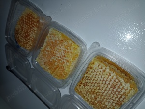 Faguri cu miere poliflora 100 % naturala - imagine 5