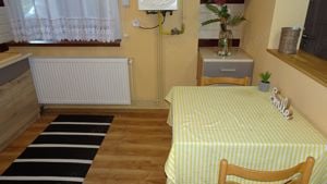 Inchiriez apartament 2 camere in Deva, zona ultracentrala, etaj 1, mobilat utilat - imagine 4