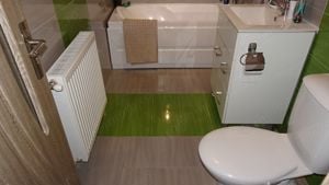 Inchiriez apartament 2 camere in Deva, zona ultracentrala, etaj 1, mobilat utilat - imagine 12