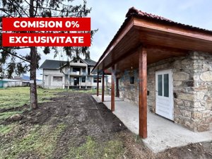 Vanzare casa individuala D+P+M + casuta de vara + teren 3900 mp, loc. Livada