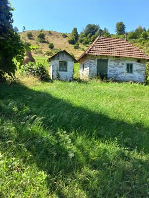 Teren intravilan,cu panorama,Ponoara,Bratca,Bihor - imagine 2