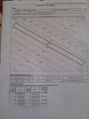 Vand teren Magurele Proprietar - imagine 4