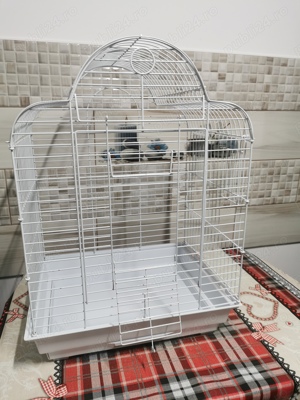 Colivie papagali - imagine 2