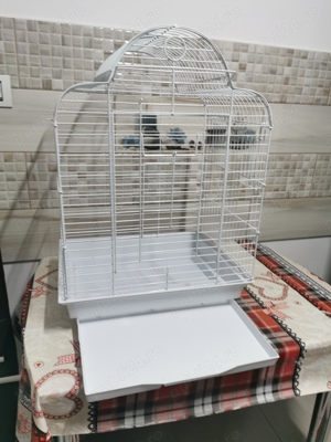 Colivie papagali - imagine 4