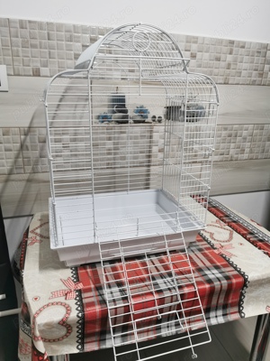 Colivie papagali - imagine 3