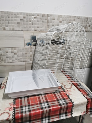 Colivie papagali - imagine 5