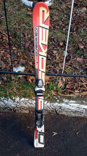 Schiuri copii 110 cm