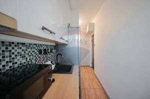 Apartament cu 2 camere de vânzare, Onisifor Ghibu, Nufărul - imagine 20