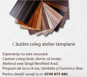 Cautam  coleg atelier tamplarie