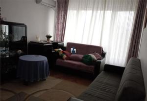 Vanzare Apartament 2 Camere Semidecomandat Berceni-Al.Terasei - imagine 11