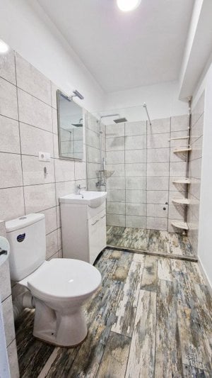 Ideal investitie! 2 apartamente cu 2 camere fiecare, curte privata, Tineretului - imagine 7