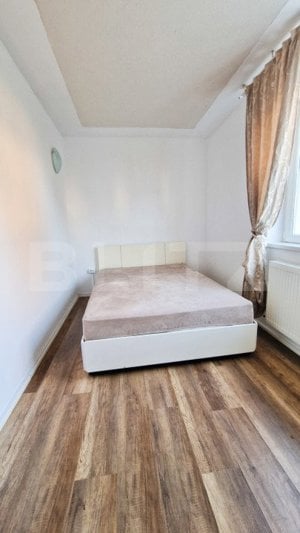 Ideal investitie! 2 apartamente cu 2 camere fiecare, curte privata, Tineretului - imagine 9