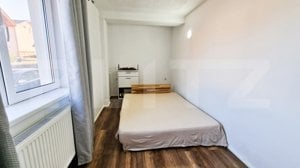 Ideal investitie! 2 apartamente cu 2 camere fiecare, curte privata, Tineretului - imagine 4