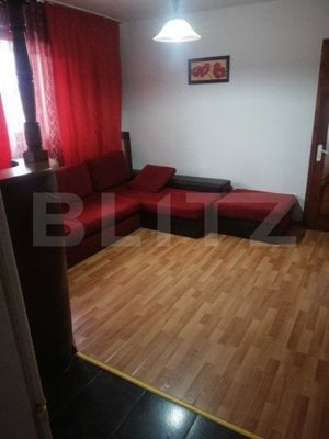 Apartament 2 camere, 40 mp, zona-Decebal - imagine 3