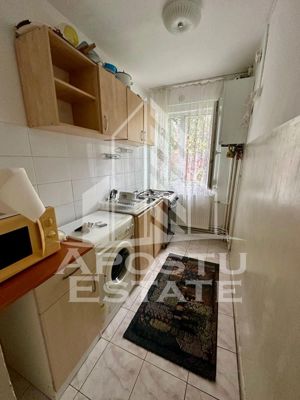 Apartament o camera, pet-friendly, centrala proprie, Sagului - imagine 2