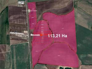 113,21 ha in nordul Aradului, la iesirea de pe drumul expres - imagine 3