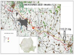 113,21 ha in nordul Aradului, la iesirea de pe drumul expres - imagine 5