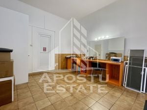 Apartament cu 4 camere renovat complet Iosefin - imagine 8