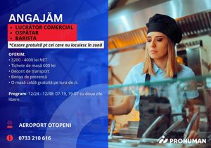 Angajare Lucrator comercial Casier Barista in Otopeni Aeroport Bucuresti