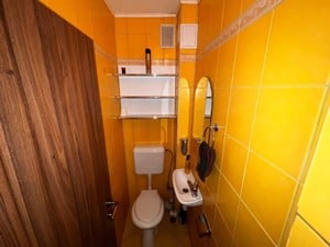 Apartament 4 camere,Petre Dulfu ,etaj intermediar  - imagine 13