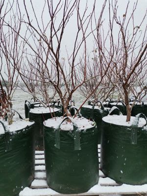 Containere (saci) din tesut ptr plante