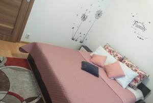 Apartament 2 camere, 50mp, decomandat, pet-friendly, Doamna Ghica - imagine 3