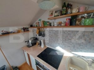 Apartament si spatiu comercial pe 2 niveluri - imagine 3