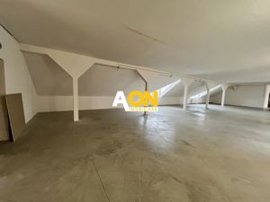 Spațiu Comercial, 400mp Nivel, Cetate - imagine 5