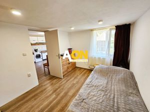 Casa renovata, 2 corpuri de cladire + anexe, 1331 mp teren, Paclisa - imagine 10