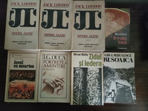 Lot de cărți + discuri vinil