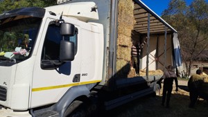 Vand Volvo fl280 14 t - imagine 3