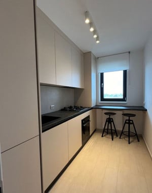 Apartament 2 camere, 55 mp, decomandat,centrala, parcare, Hils Pallady - imagine 6