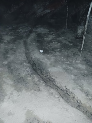 execut curățenie la subsolul blocului,car sacii de moluz apartamente (mă deplasez și înprejurimi)