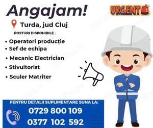 Operatori productie  Stivuitoristi  Sef de echipa  Mecanic electrician  Sculer Matriter  in  Turda